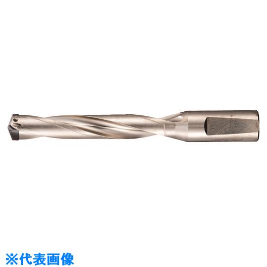 ■GUHRING 刃先交換式超硬ドリルホルダ5×D用 22.51〜24.00mm 524324.000(1809099)[送料別途お見積り][法人限定][掲外取寄]