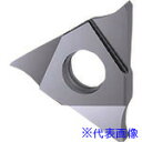 ■GUHRING 溝入れ工具 インサート 内外径溝入れ加工用 TiCNコート GE305.0400.040.BA.04.N 2560612.008(181423...