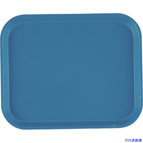 ■TKG キャンブロカムトレー(FRP) 810 ホライゾンブルー EKM0112(1865940)[送料別途見積り][法人・事業所限定][掲外取寄]