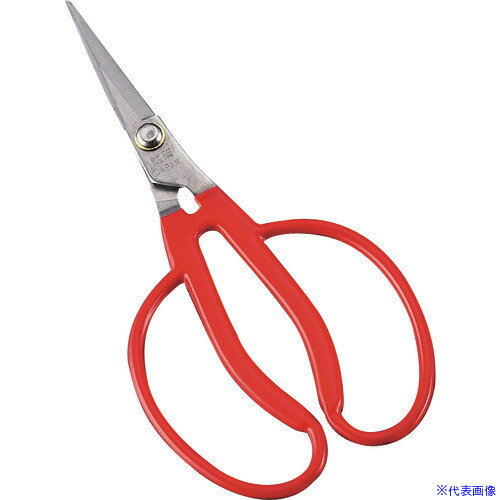 ■TKG 小林製鋏 越路ぶどう間引鋏 K-14(ステンレス) BBD0301(1870521)[送料別途見積り][法人・事業所限定][掲外取寄]