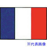 ■TKG 上西産業 エクスラン万国旗 70×105cm フランス YJN7201(1942891)[送料別途お見積り][法人限定][掲外取寄]