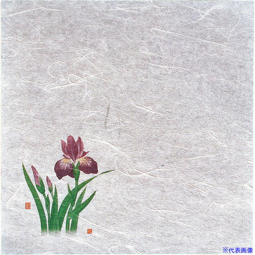 オレンジブック トラスコ中山　TRUSCOTKG ヤマコー 新・濡れ奉書紙(100枚入) 菖蒲 〔品番:QHU14〕[ 注番:1944374]特長●薄口の特漉き雲竜和紙(無蛍光)を使用しています。●余分な油を吸収しますので、天紙としても最適です。●※御注文の際は、100枚単位でお願いします。仕様仕様2●幅×奥行(mm)：200×200●材質：和紙材質/仕上セット内容/付属品注意原産国（名称）日本JANコード4988484653959本体質量191gオレンジブック トラスコ中山　TRUSCOTKG ヤマコー 新・濡れ奉書紙(100枚入) 菖蒲 〔品番:QHU14〕[注番:1944374][本体質量：191g]《包装時基本サイズ：200×200×13》〔包装時質量：415g〕分類》研究用品》厨房用品》調理器具☆納期情報：メーカー取り寄品（弊社より発送）