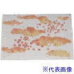 ■TKG アーテック 尺五まっと 古今(100枚入) もみじ KSG-18 QMT68(1944526)[送料別途見積り][法人・事業..