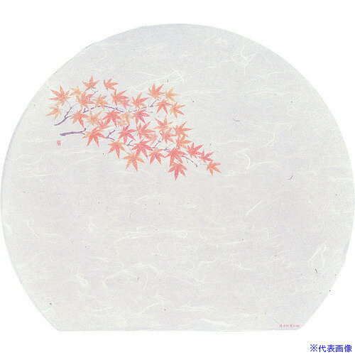 ��TKG �����ƥå� ���ֹ����»� ��3Ⱦ��ޤä�(100��) ��ߤ� WH-13 QMT14(1944564)[�������Ӹ��Ѥ�][ˡ�͡����Ƚ����][�ǳ����...