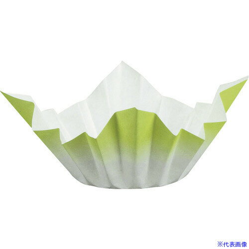 ��TKG ������ ���»���(250����) �п� SKA146 QNB4801(1944734)[�������Ӹ��Ѥ�][ˡ�͡����Ƚ����][�ǳ����]