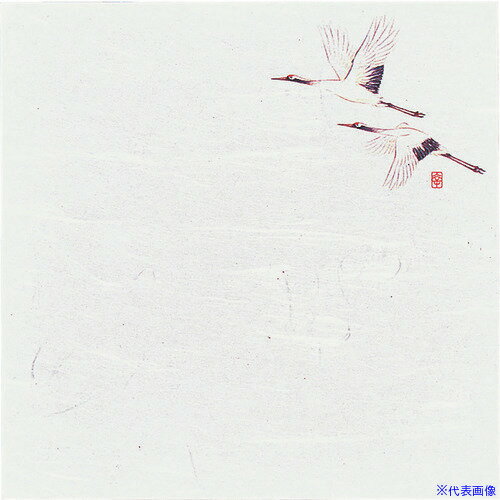 ��TKG �����ƥå� ���ֹ����»� �֤���߲���(200����) �� W4-9 QSK85004(1945935)[�������Ӹ��Ѥ�][ˡ�͡����Ƚ����][�ǳ����]