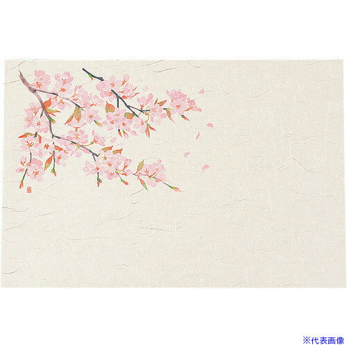 ��TKG ��ޥ��� ��3�͵����Фޤä�(50����) �� QKI09(1947018)[�������Ӹ��Ѥ�][ˡ�͡����Ƚ����][�ǳ����]