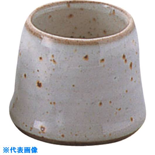 Toothpick Containers - ■TKG エムズジャパン 粉引青磁 楊枝入 T03−47 RKS9701(1947747)[送料別途お見積り][法人限定][掲外取寄]