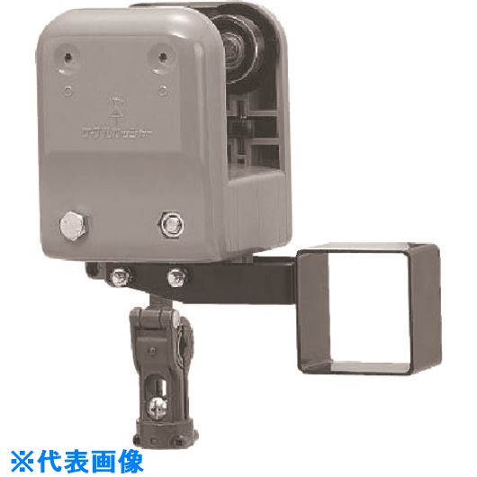 ��̤�� ��ƬW���å��㡼(C������) CK84AWTZZ(1985939)[�������Ӹ��Ѥ�][ˡ�͡����Ƚ����][�ǳ����]