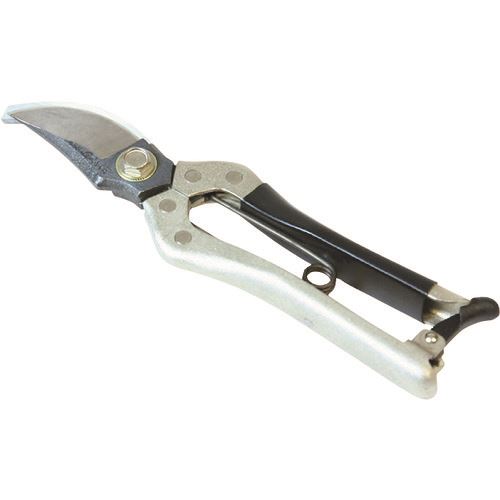 ����� ��Ĺ�״�ʸ�� B������������ 200mm 192015(1992635)[�������Ӥ����Ѥ�][ˡ�͸���][��ľ��]