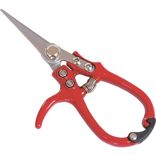 ����� FG ����ѥ��Ⱥڱ��� ���ڡ������� 192208(1992637)[�������Ӥ����Ѥ�][ˡ�͸���][��ľ��]