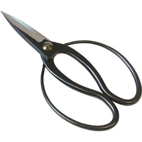 ����� ��Ĺ�� ��Ĺ������� 200mm 192107(1994111)[�������Ӥ����Ѥ�][ˡ�͸���][��ľ��]