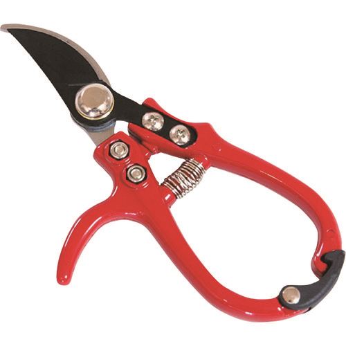 ����� FG ����ѥ��Ⱥڱ��� ���������� 192192(1994122)[�������Ӥ����Ѥ�][ˡ�͸���][��ľ��]