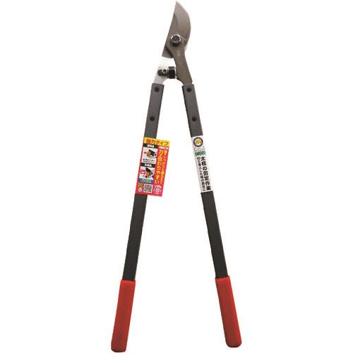 ����� FG������������S621−RG 192451(1994139)[�������Ӥ����Ѥ�][ˡ�͸���][��ľ��]