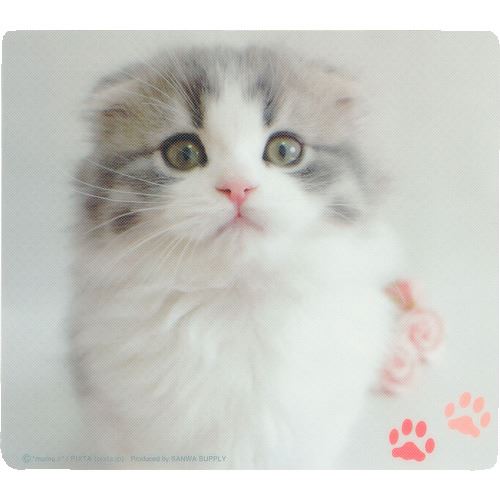 ■SANWA 動物マウスパッド(スコティッシュフォールド) MPD215E(2031270)[送料別途お見積り][法人限定][..