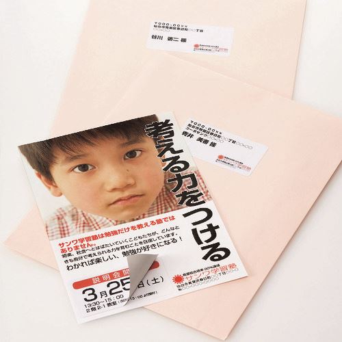 ■SANWA 下地が透けないマルチラベル(12面) LBEM25(2031413)[送料別途お見積り][法人限定][掲外取寄]