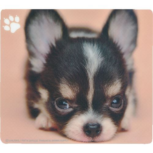 ��SANWA ưʪ�ޥ����ѥå�(�����) MPD215C(2032092)[�������Ӥ����Ѥ�][ˡ�͸���][�ǳ����]