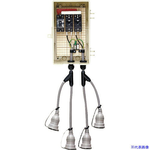 ■未来 屋外電力用仮設ボックス 2A2BWT(2055635)[送料別途お見積り][法人限定][掲外取寄]