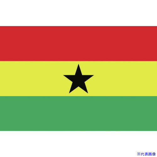 ■東京製旗 国旗No.1(70×105cm) ガ-ナ 416201(2073755)