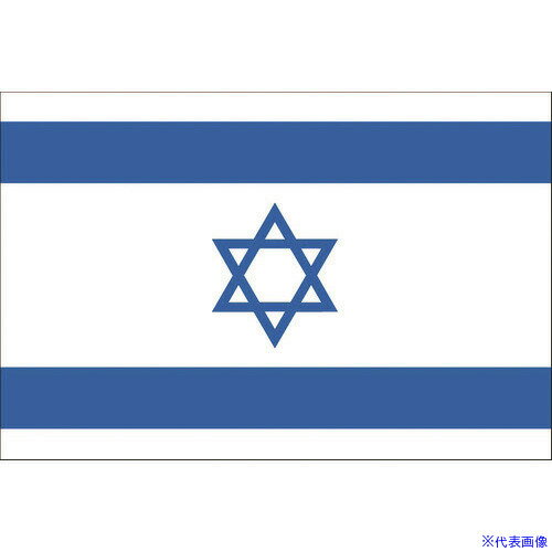 ■東京製旗 国旗No.1(70×105cm) イスラエル 416124(2073756)