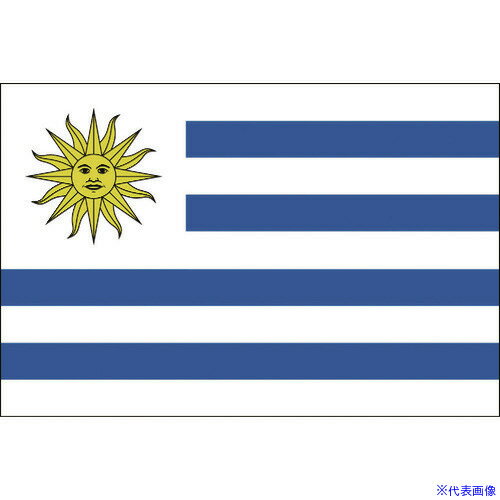 ■東京製旗 国旗No.1(70×105cm) ウルグアイ 416143(2073759)