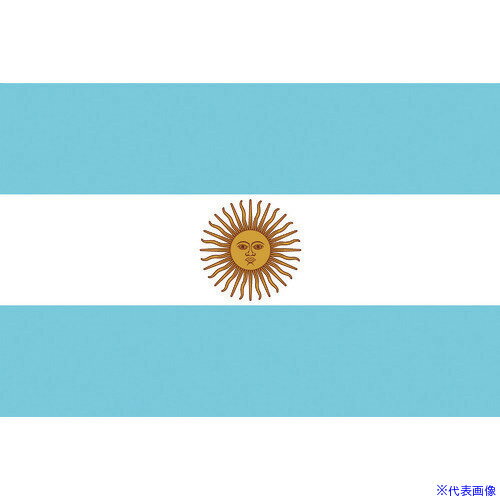 ■東京製旗 国旗No.2(90×135cm) アルゼ�