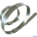 ■デンカエレクトロン ステンレスバンド 300mm×10本入 DKST30046316(2081495)