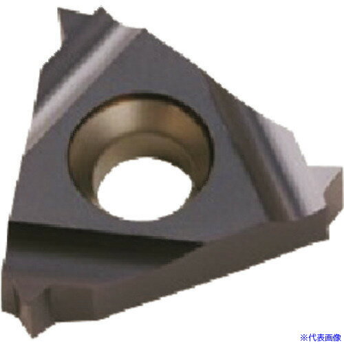 ■NOGA カーメックスねじ切り用チップ 16IRB2.0ISOBMA(2089034)×10