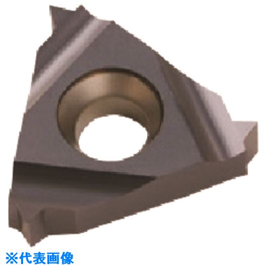 ■NOGA カーメックスねじ切り用チップ 16ELAG60BMA(2090663)×10[送料別途見積り][法人・事業所限定][掲外取寄]