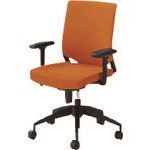 オレンジブック トラスコ中山　TRUSCOPLUS 69463)事務イス KT−6 KD−KT60SL OR 〔品番:KDKT60SLOR〕[ 注番:2104611]特長仕様仕様2●事務イス　KT-6　KD-KT60SL　OR　（69463）材質/仕上セット内容/付属品注意●組立・施工が必要な商品です。●組立・施工をご依頼の際は別途料金かかります。原産国（名称）中国JANコード本体質量14.77kgオレンジブック トラスコ中山　TRUSCOPLUS 69463)事務イス KT−6 KD−KT60SL OR 〔品番:KDKT60SLOR〕[注番:2104611][本体質量：14.77kg]分類》オフィス・住設用品》オフィス家具》オフィスチェア☆納期情報：オレンジブック掲載以外でメーカー直送品【法人限定＝会社名ご記入お願い致します。】
