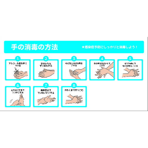 ■グリーンクロス TS-01 手の消毒の方法 ポリセーム 300x600 6300004287(2131622)[送料別途見積り][法人・事業所限定][外直送]