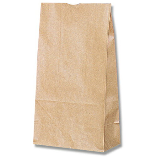 ■HEIKO 角底袋 未晒無地 No.6 100枚入り 004010600(2133014)[送料別途お見積り][法人限定][掲外取寄]