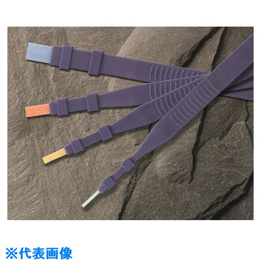 르ե ˥塼ѡȡۥ SSH6(2146272)[ӤѤ][ˡ͸][ǳ]