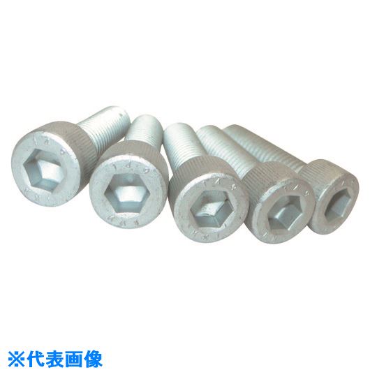 Υ ٶʬ14.9Ķϻѷդܥ ǥ륿ץƥ ͥ 1250 CS149DPF1250(2154751)2[ӤѤ][ˡ...