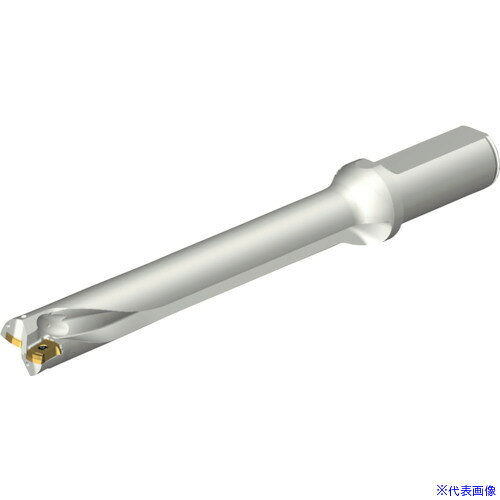 オレンジブック トラスコ中山　TRUSCOSANDVIK コロドリルDS20刃先交換式ドリル(465) 〔品番:DS20D2223LX2507〕[ 注番:2162542]特長●ダブルステップテクノロジーによりスムーズな食いつきで加工が開始されます。●独自のフルート設計でスパイラル＋直線フルートを採用しています。●フルート断面形状は台形断面の中心刃と外周刃フルートで異なった形状をしています。●チップ設計：中心刃・外周刃とも4コーナー使用できます。●ダブルクーラントホール：クーラント穴をトップに配置しているため、切屑排出を高めます。用途●穴あけ用。仕様●切削径DC(mm)：22.23●使用可能長さLU(mm)：156.24●機械側接続径DCONMS(mm)：25.4●適合インサート：DS20-03・・・P、DS20-03・・・C仕様2●4つの穴あけ加工において信頼性、安定性、卓越した加工能力を実現する刃先交換式ドリル●円筒平取り付きシャンク●内部給油式●インチバージョン材質/仕上セット内容/付属品注意原産国（名称）スウェーデンJANコード本体質量0.506kgオレンジブック トラスコ中山　TRUSCOSANDVIK コロドリルDS20刃先交換式ドリル(465) 〔品番:DS20D2223LX2507〕[注番:2162542][本体質量：0.506kg]《包装時基本サイズ：244×47×47》〔包装時質量：1kg〕分類》切削工具》旋削・フライス加工工具》刃先交換式ドリル☆納期情報：メーカー取り寄品（弊社より発送）