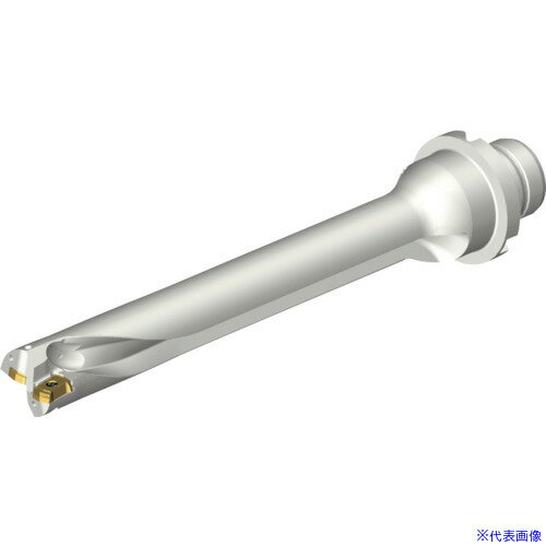 ■SANDVIK コロドリルDS20刃先交換式ドリル(465) DS20D1700DM2007(2164099)[送料別...