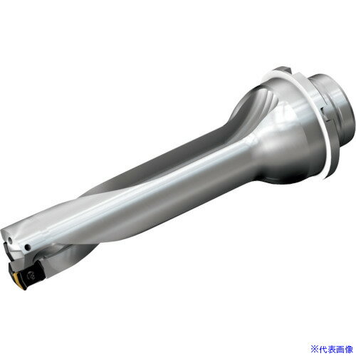 ■SANDVIK コロドリルDS20刃先交換式ドリル(465) DS20D2200DM2504(2165646)[送料別...