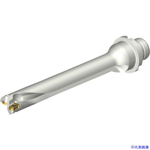 ■SANDVIK コロドリルDS20刃先交換式ドリル(465) DS20D1666DM2007(2165702)[送料別途お見積り][法人限定][メーカー取寄]