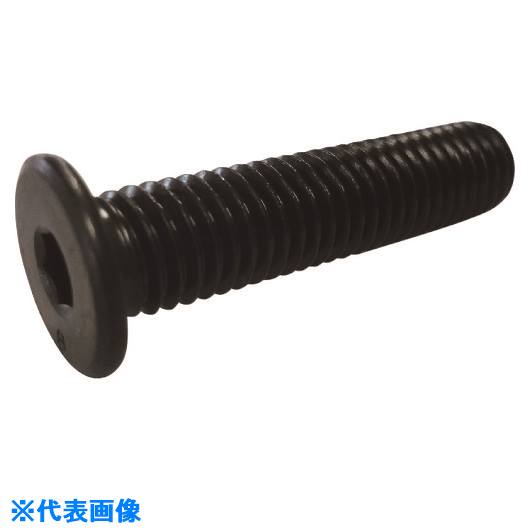 �����Υ� NS�����إå� �ѥ������ ���ͤ� 6x10 ULHCSP8610(2204116)��10[�������Ӥ����Ѥ�][ˡ�͸���][�ǳ����]