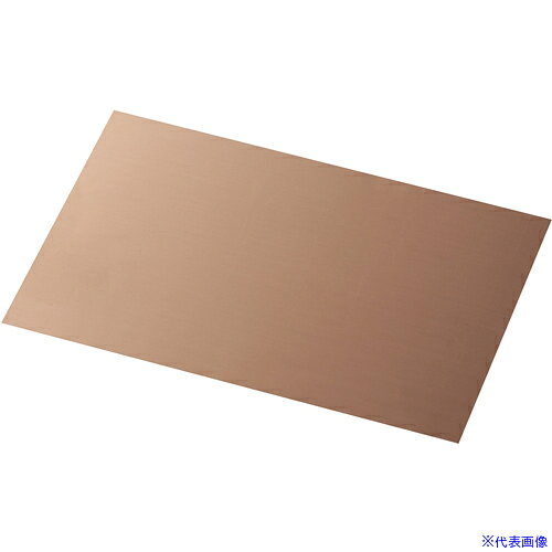 ■IWATA シムプレートCU TC50-300-02(2209500)[送料別途お見積り][法人限定][掲外取寄](4)