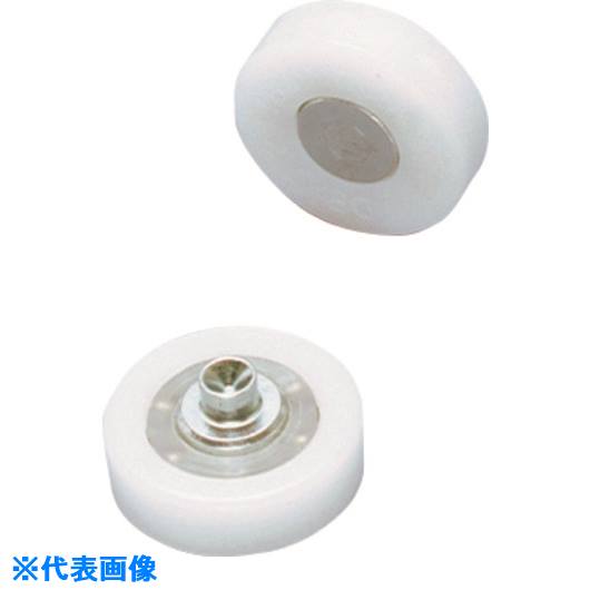 ��SUGATSUNE (210140040)DR��19��A0.5/�ץ饹���å��٥���� DR19A0.5(2258009)[�������Ӥ����Ѥ�][ˡ�͸���][�ǳ����]