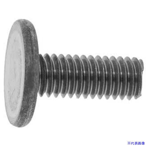 ■SUNCO 大平小ネジ 6×16 (500本入) 0000080C0060016000(2297081)[送料別途見積り][法人・事業所限定][掲外取寄]