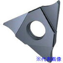 ■GUHRING 溝入れ工具 インサート 内外径溝入れ加工用 FIREコート GE305.0130.000.BA.04.N 2560112.008(232292...