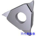 ■GUHRING 溝入れ工具 インサート 端面溝入れ TiCNコート GA305.0200.020.BA.04.L 2562912.002(2344461)×2...
