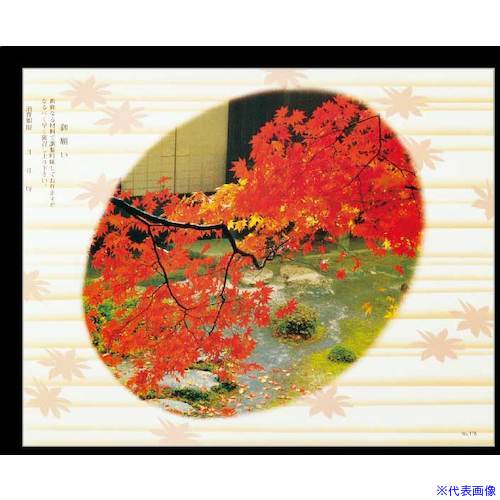 オレンジブック トラスコ中山　TRUSCO大黒 折掛紙 No.116 ＜コート＞ 〔品番:60130〕[ 注番:2355575]特長●お料理・お弁当用の掛け紙です。用途●お弁当容器の上にかけ、ゴムやテープで止めて使用。仕様仕様2●210×260材質/仕上●コート紙セット内容/付属品注意原産国（名称）日本JANコード4975139500850本体質量455gオレンジブック トラスコ中山　TRUSCO大黒 折掛紙 No.116 ＜コート＞ 〔品番:60130〕[注番:2355575][本体質量：455g]《包装時基本サイズ：210×260×5》〔包装時質量：460g〕分類》研究用品》厨房用品》調理器具☆納期情報：メーカー取り寄品（弊社より発送）