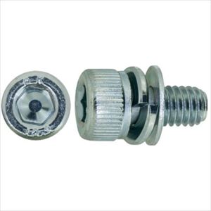 ■SUNCO 10.9CAP P=4 岡井鉄工所製 8 X 25 (100本入) A000904J0080025000(2416794)[送料別途お見積り][..