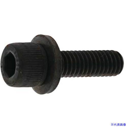 オレンジブック トラスコ中山　TRUSCOSUNCO 10.9GT−L CAP 6 X 12 (500本入) 〔品番:A0009L000060012000〕[ 注番:2434999]特長仕様●寸法(mm)d：M6●寸法(mm)L：12●ねじ長さ(mm)：12●ねじ径(mm)：M6仕様2材質/仕上●鉄(または標準)セット内容/付属品注意原産国（名称）日本JANコード4573236895963本体質量3.11kgオレンジブック トラスコ中山　TRUSCOSUNCO 10.9GT−L CAP 6 X 12 (500本入) 〔品番:A0009L000060012000〕[注番:2434999][本体質量：3.11kg]《包装時基本サイズ：165×125×70》〔包装時質量：3110g〕分類》金物・建築資材》ねじ・ボルト・ナット》六角穴付ボルト☆納期情報：メーカー取り寄品（弊社より発送）