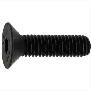 ■SUNCO ロックウェル サラCAP アンブラコ 6×16 (200本入) A000200P0060016085(2475553)[送料別途お見積り][法人限定][掲外取寄]