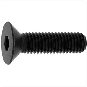 オレンジブック トラスコ中山　TRUSCOSUNCO サラCAP(カクマル 6×25 (400本入) 〔品番:A000200K0060025000〕[ 注番:2477131]特長仕様●ねじ径(mm)：M6●ねじ長さ(mm)：25仕様2材質/仕上●鉄(または標準)セット内容/付属品注意原産国（名称）日本JANコード4560181230574本体質量2.312kgオレンジブック トラスコ中山　TRUSCOSUNCO サラCAP(カクマル 6×25 (400本入) 〔品番:A000200K0060025000〕[注番:2477131][本体質量：2.312kg]《包装時基本サイズ：165×125×70》〔包装時質量：2312g〕分類》金物・建築資材》ねじ・ボルト・ナット》六角穴付ボルト☆納期情報：メーカー取り寄品（弊社より発送）