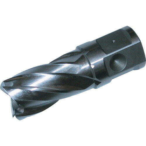 ■大見 25SQハイスカッター 刃径24.0mm HCSQ240(2483220)